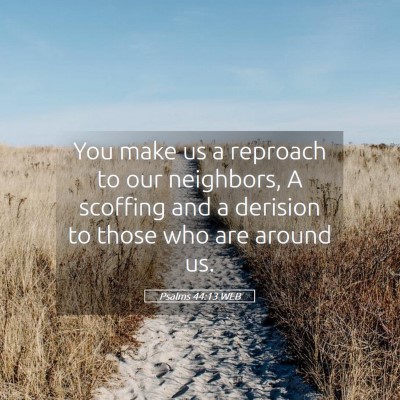Picture 05 - Psalms 44:13 WEB - You make us a reproach to our neighbors, A - Bible Verse Picture