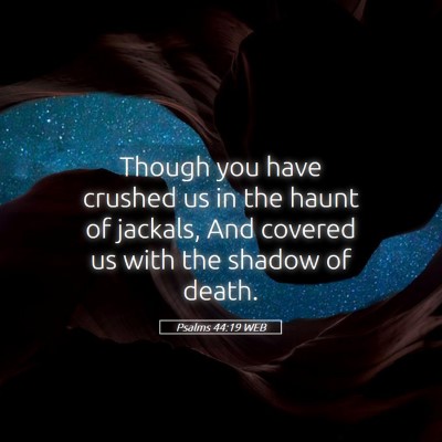 Picture 05 - Psalms 44:19 WEB - Though you have crushed us in the haunt of - Bible Verse Picture