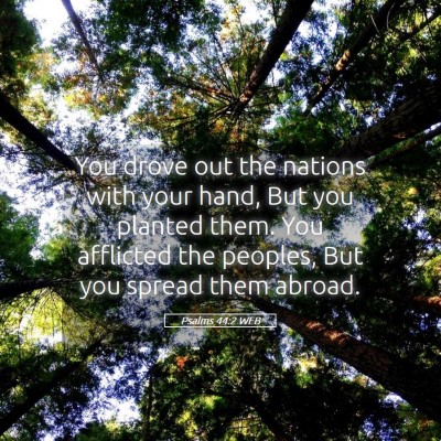 Picture 05 - Psalms 44:2 WEB - You drove out the nations with your hand, But you - Bible Verse Picture