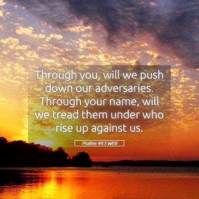 Picture 05 - Psalms 44:5 WEB - Through you, will we push down our adversaries. - Bible Verse Picture