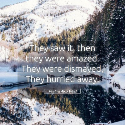 Picture 05 - Psalms 48:5 WEB - They saw it, then they were amazed. They were - Bible Verse Picture