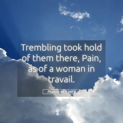 Picture 05 - Psalms 48:6 WEB - Trembling took hold of them there, Pain, as of a - Bible Verse Picture