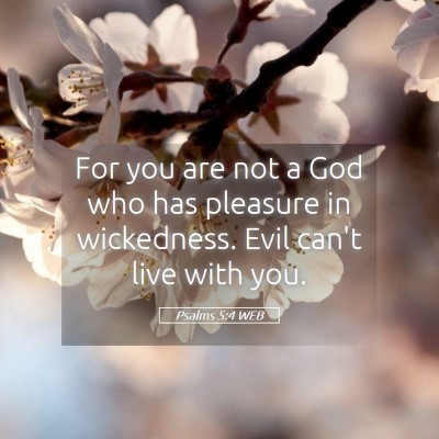 Picture 05 - Psalms 5:4 WEB - For you are not a God who has pleasure in - Bible Verse Picture