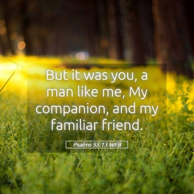 Picture 05 - Psalms 55:13 WEB - But it was you, a man like me, My companion, and - Bible Verse Picture
