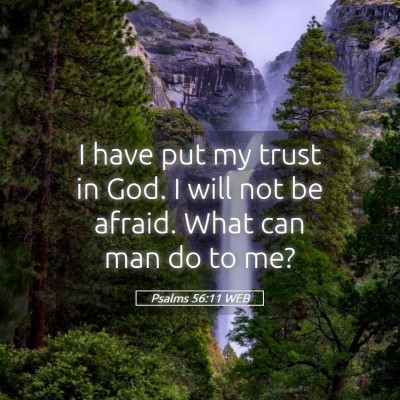 Picture 05 - Psalms 56:11 WEB - I have put my trust in God. I will not be afraid. - Bible Verse Picture
