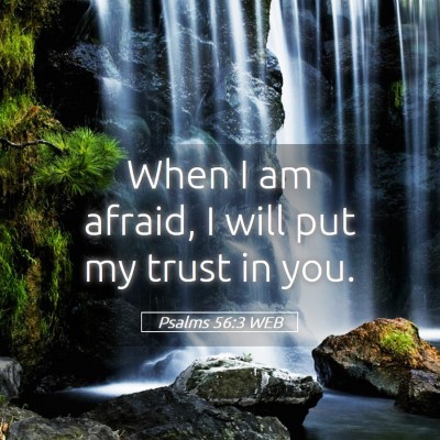 Picture 05 - Psalms 56:3 WEB - When I am afraid, I will put my trust in - Bible Verse Picture