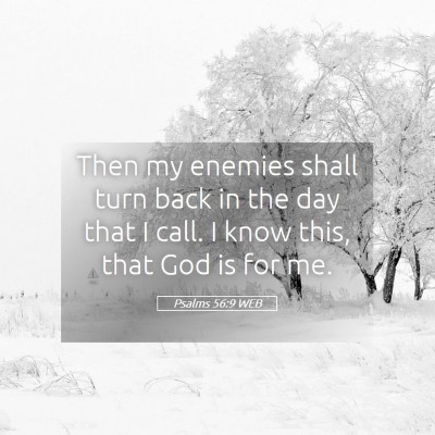 Picture 05 - Psalms 56:9 WEB - Then my enemies shall turn back in the day that I - Bible Verse Picture