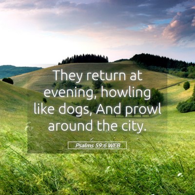 Picture 05 - Psalms 59:6 WEB - They return at evening, howling like dogs, And - Bible Verse Picture