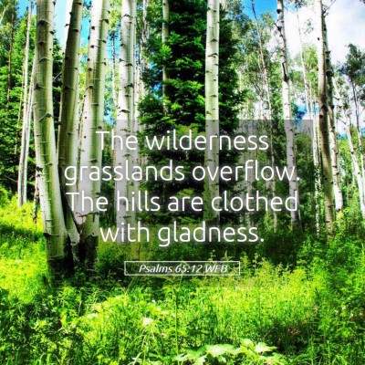 Picture 05 - Psalms 65:12 WEB - The wilderness grasslands overflow. The hills are - Bible Verse Picture