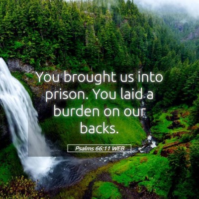 Picture 05 - Psalms 66:11 WEB - You brought us into prison. You laid a burden on - Bible Verse Picture