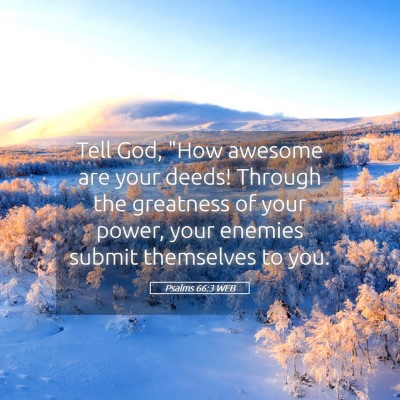 Picture 05 - Psalms 66:3 WEB - Tell God, 