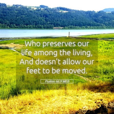 Picture 05 - Psalms 66:9 WEB - Who preserves our life among the living, And - Bible Verse Picture