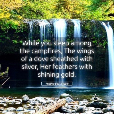 Picture 05 - Psalms 68:13 WEB - While you sleep among the campfires, The wings of - Bible Verse Picture