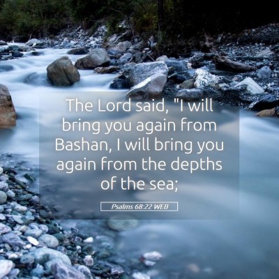 Picture 05 - Psalms 68:22 WEB - The Lord said, 