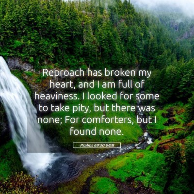 Picture 05 - Psalms 69:20 WEB - Reproach has broken my heart, and I am full of - Bible Verse Picture