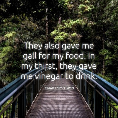 Picture 05 - Psalms 69:21 WEB - They also gave me gall for my food. In my thirst, - Bible Verse Picture
