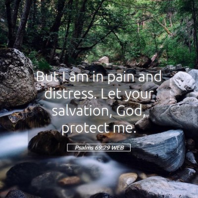 Picture 05 - Psalms 69:29 WEB - But I am in pain and distress. Let your - Bible Verse Picture