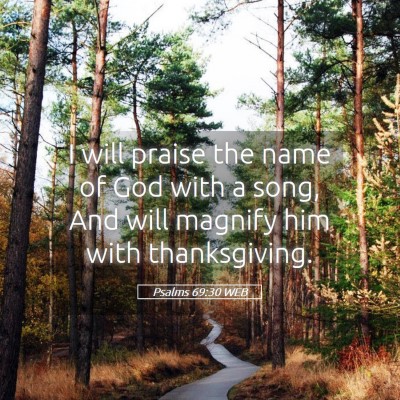 Picture 05 - Psalms 69:30 WEB - I will praise the name of God with a song, And - Bible Verse Picture