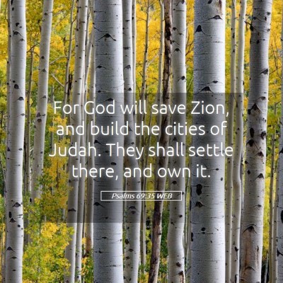 Picture 05 - Psalms 69:35 WEB - For God will save Zion, and build the cities of - Bible Verse Picture