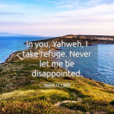 Picture 05 - Psalms 71:1 WEB - In you, Yahweh, I take refuge. Never let me be - Bible Verse Picture