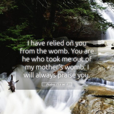 Picture 05 - Psalms 71:6 WEB - I have relied on you from the womb. You are he - Bible Verse Picture
