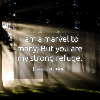 Picture 05 - Psalms 71:7 WEB - I am a marvel to many, But you are my strong - Bible Verse Picture
