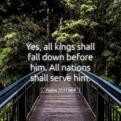 Picture 05 - Psalms 72:11 WEB - Yes, all kings shall fall down before him. All - Bible Verse Picture
