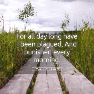 Picture 05 - Psalms 73:14 WEB - For all day long have I been plagued, And - Bible Verse Picture
