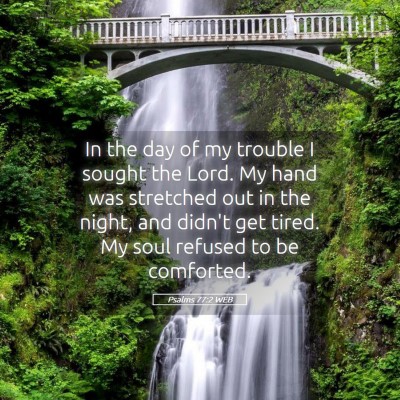 Picture 05 - Psalms 77:2 WEB - In the day of my trouble I sought the Lord. My - Bible Verse Picture