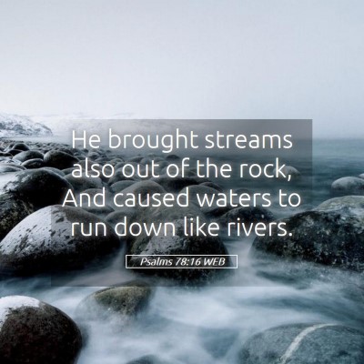 Picture 05 - Psalms 78:16 WEB - He brought streams also out of the rock, And - Bible Verse Picture