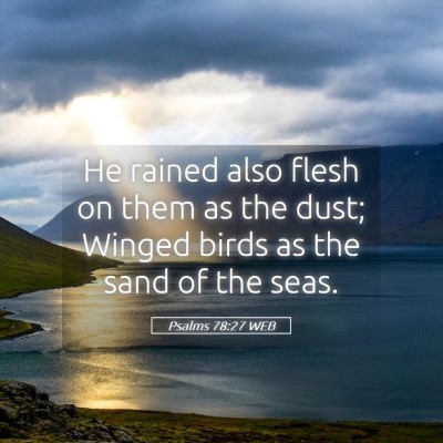 Picture 05 - Psalms 78:27 WEB - He rained also flesh on them as the dust; Winged - Bible Verse Picture