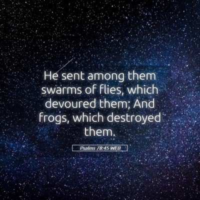 Picture 05 - Psalms 78:45 WEB - He sent among them swarms of flies, which - Bible Verse Picture