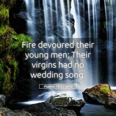 Picture 05 - Psalms 78:63 WEB - Fire devoured their young men; Their virgins had - Bible Verse Picture
