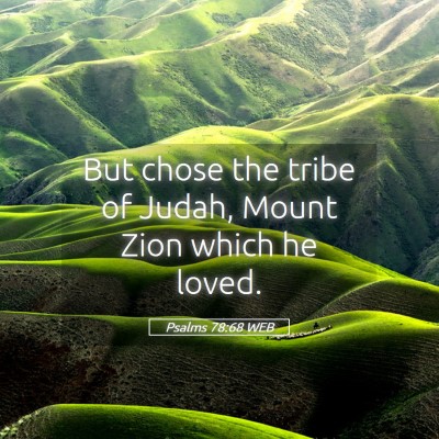 Picture 05 - Psalms 78:68 WEB - But chose the tribe of Judah, Mount Zion which he - Bible Verse Picture