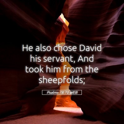 Picture 05 - Psalms 78:70 WEB - He also chose David his servant, And took him - Bible Verse Picture