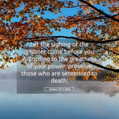 Picture 05 - Psalms 79:11 WEB - Let the sighing of the prisoner come before you. - Bible Verse Picture