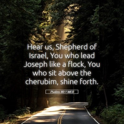 Picture 05 - Psalms 80:1 WEB - Hear us, Shepherd of Israel, You who lead Joseph - Bible Verse Picture