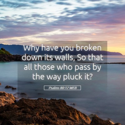 Picture 05 - Psalms 80:12 WEB - Why have you broken down its walls, So that all - Bible Verse Picture