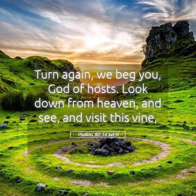 Picture 05 - Psalms 80:14 WEB - Turn again, we beg you, God of hosts. Look down - Bible Verse Picture