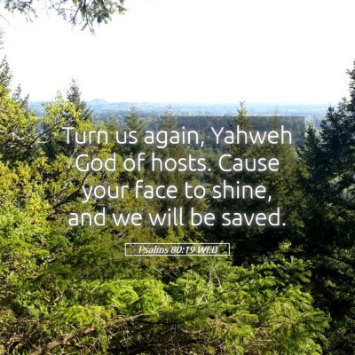Picture 05 - Psalms 80:19 WEB - Turn us again, Yahweh God of hosts. Cause your - Bible Verse Picture