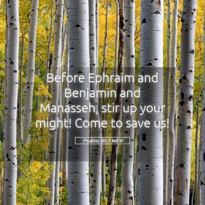 Picture 05 - Psalms 80:2 WEB - Before Ephraim and Benjamin and Manasseh, stir up - Bible Verse Picture
