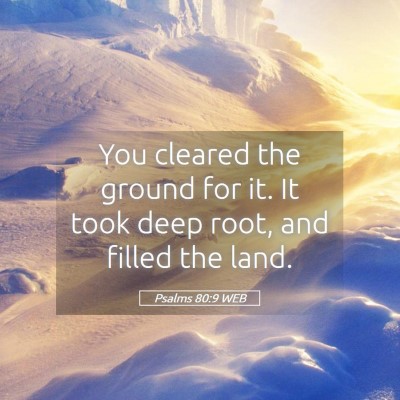 Picture 05 - Psalms 80:9 WEB - You cleared the ground for it. It took deep root, - Bible Verse Picture