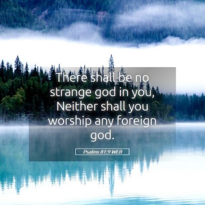 Picture 05 - Psalms 81:9 WEB - There shall be no strange god in you, Neither - Bible Verse Picture