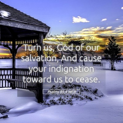 Picture 05 - Psalms 85:4 WEB - Turn us, God of our salvation, And cause your - Bible Verse Picture