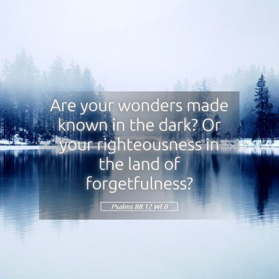 Picture 05 - Psalms 88:12 WEB - Are your wonders made known in the dark? Or your - Bible Verse Picture