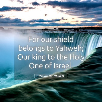 Picture 05 - Psalms 89:18 WEB - For our shield belongs to Yahweh; Our king to the - Bible Verse Picture