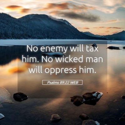 Picture 05 - Psalms 89:22 WEB - No enemy will tax him. No wicked man will oppress - Bible Verse Picture