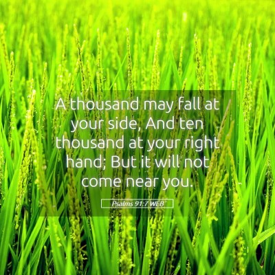 Picture 05 - Psalms 91:7 WEB - A thousand may fall at your side, And ten - Bible Verse Picture