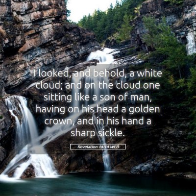 Picture 05 - Revelation 14:14 WEB - I looked, and behold, a white cloud; and on the - Bible Verse Picture