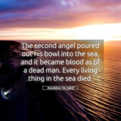 Picture 05 - Revelation 16:3 WEB - The second angel poured out his bowl into the - Bible Verse Picture